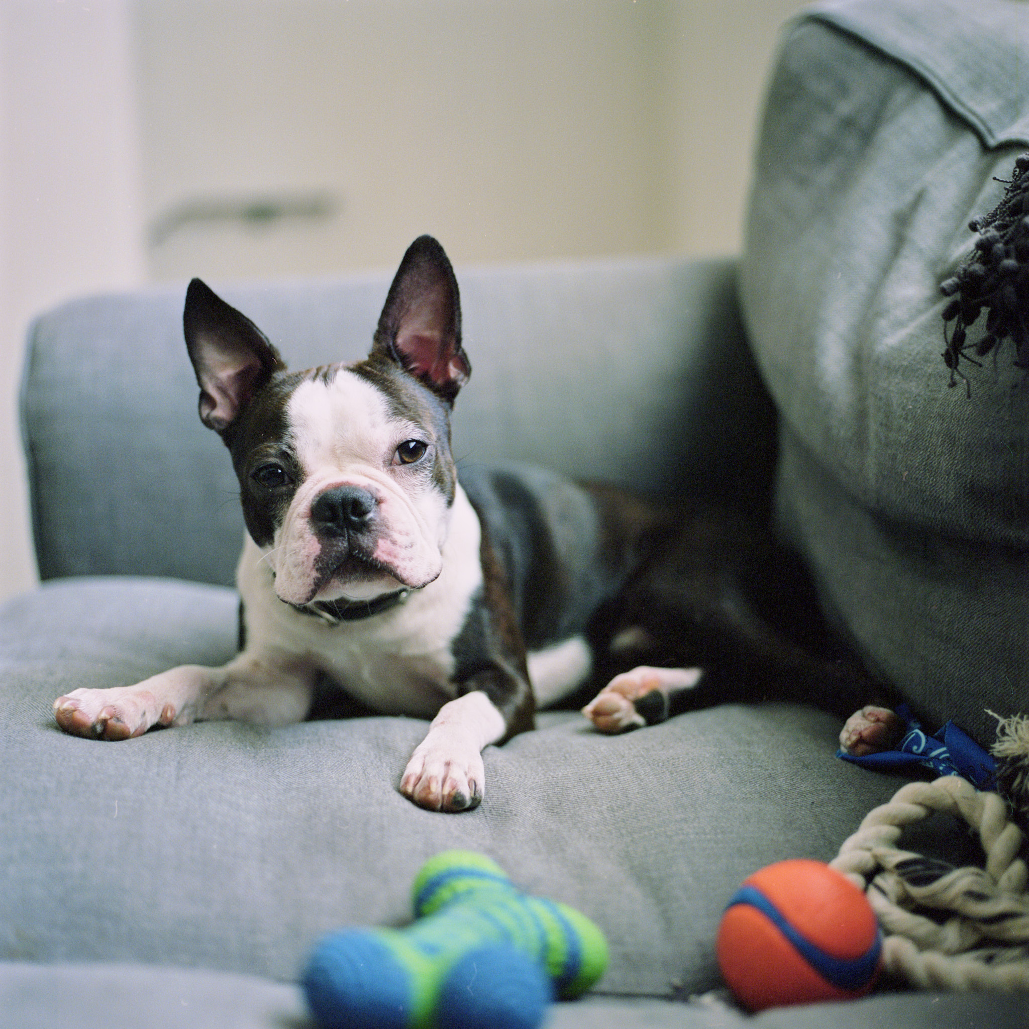 Bulli - Hasselblad - Hasselblad 500 C/M - 80mm f2.8 CF