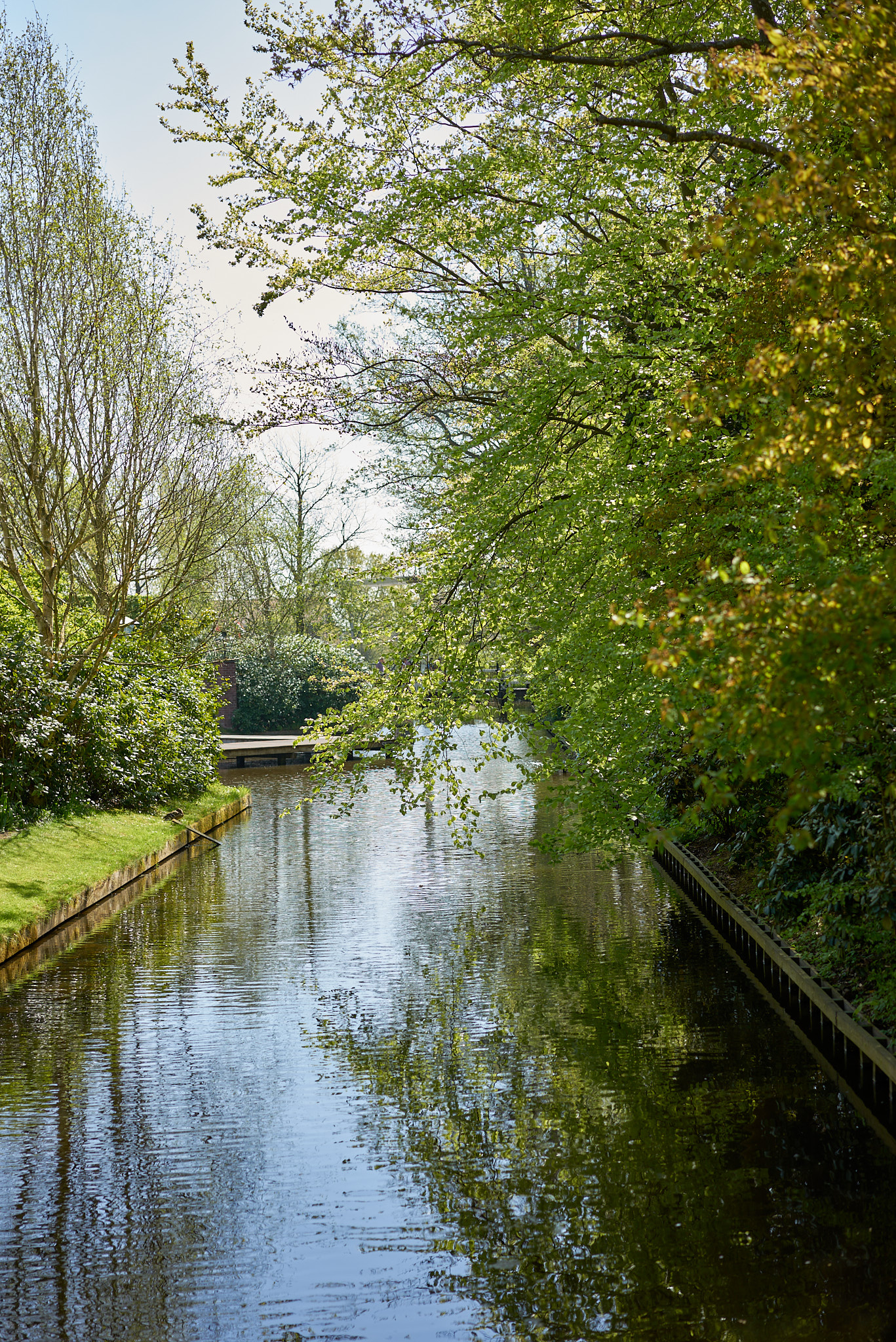 Keukenhof - SONY - SONY ILCE-7R - FE 55mm F1.8 ZA