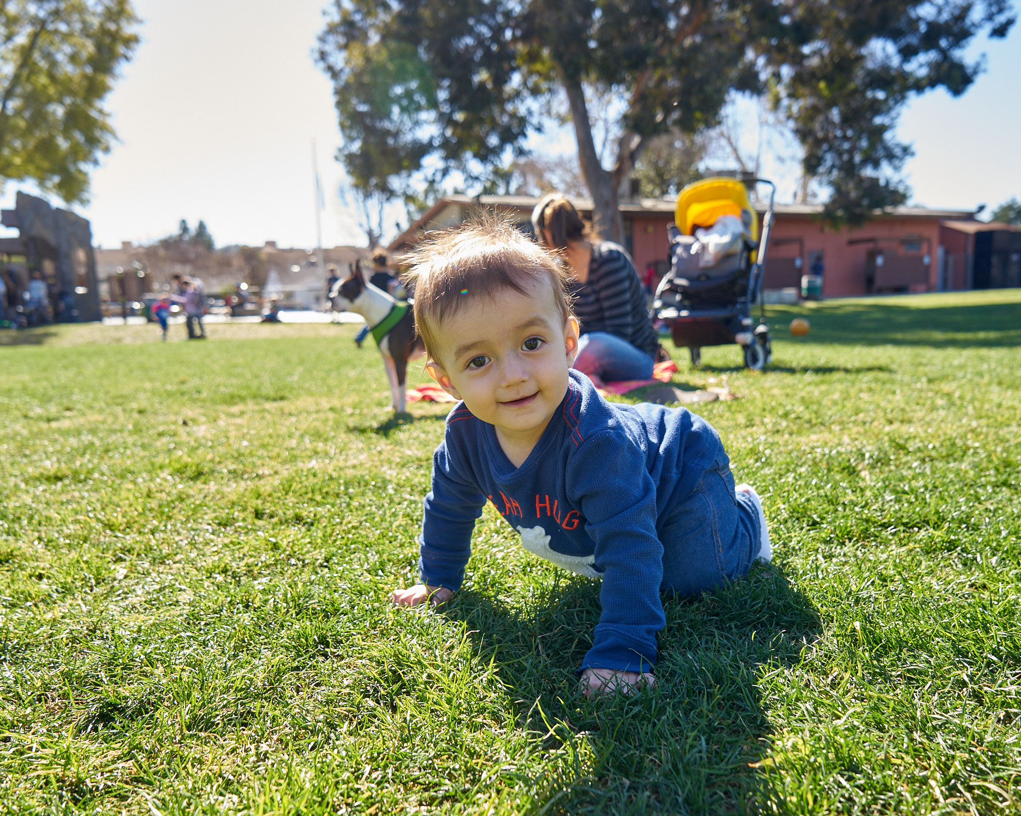 Flynn - SONY - SONY ILCE-7R - FE 24-70mm F4 ZA OSS