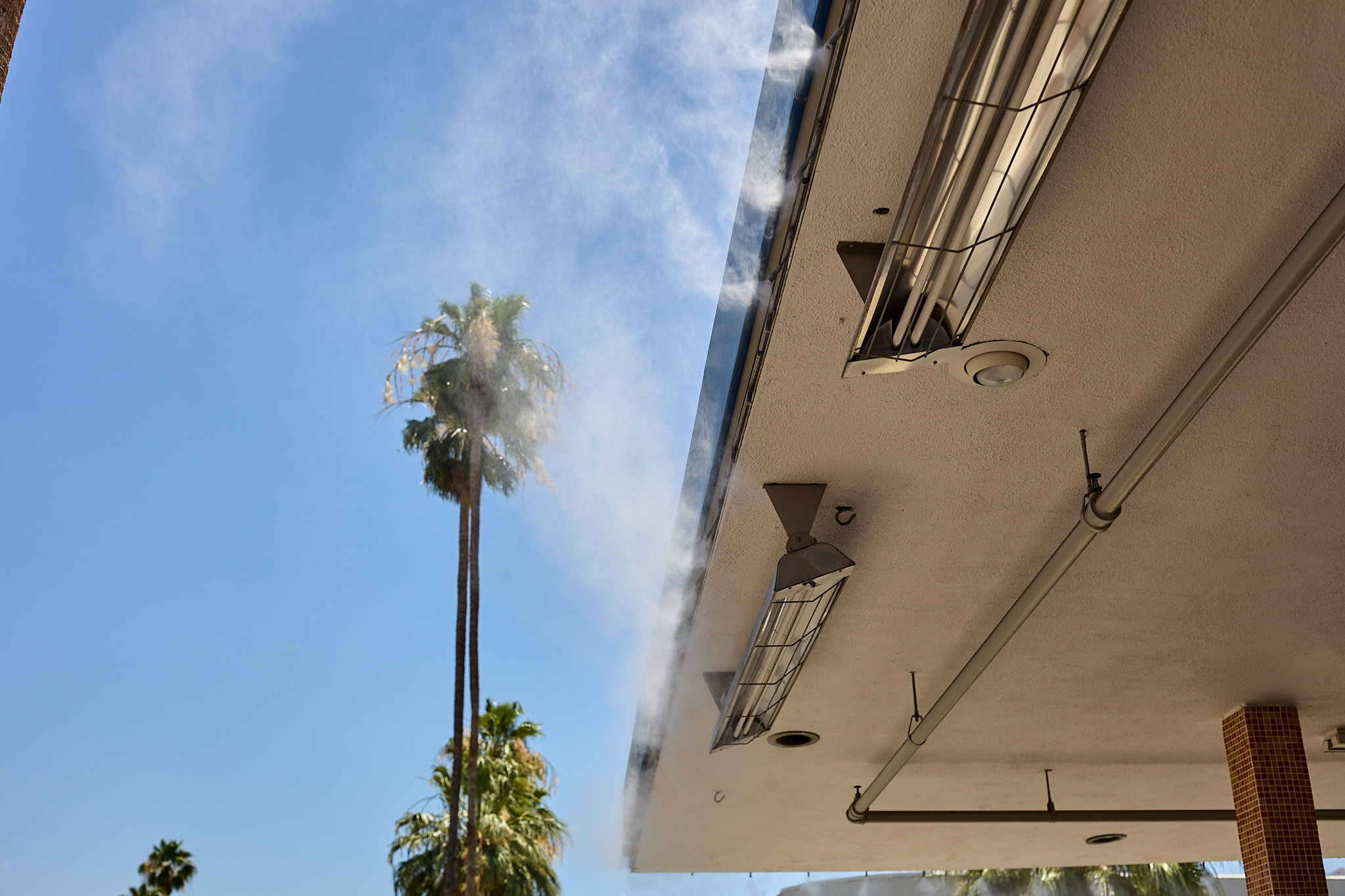 Canon - Canon EOS 5D Mark II