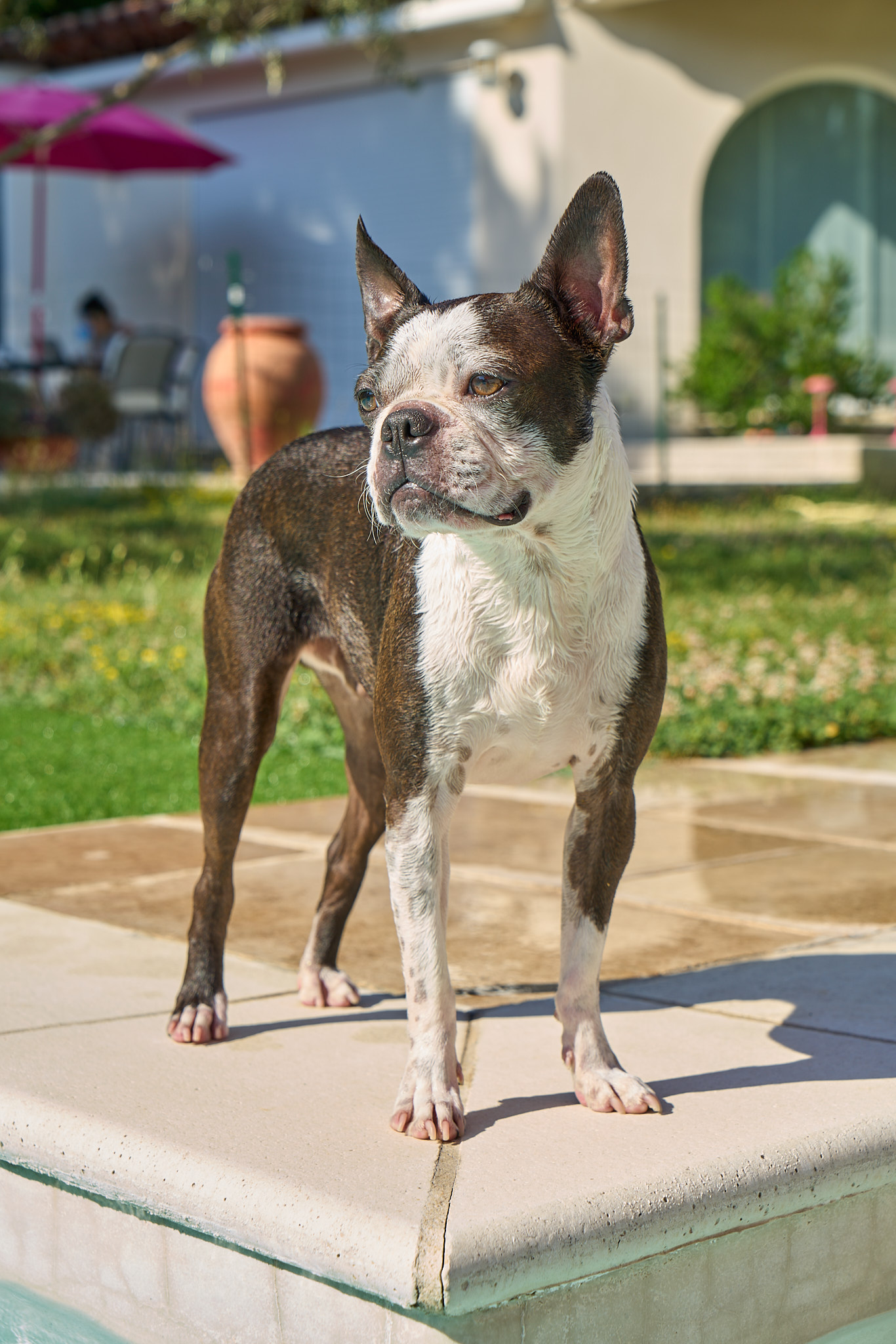 Bulli - SONY - SONY ILCE-7RM3 - FE 24-70mm F4 ZA OSS