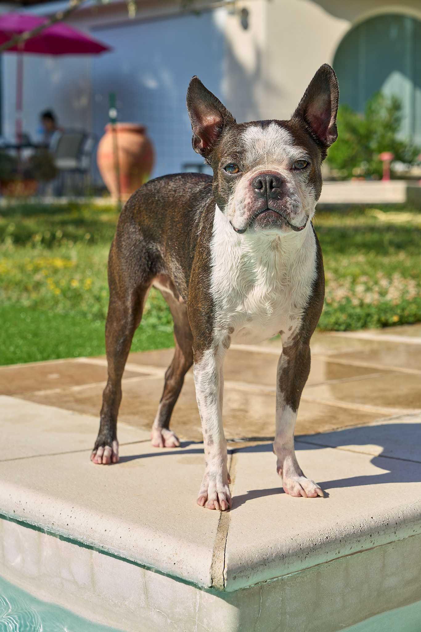 Bulli - SONY - SONY ILCE-7RM3 - FE 24-70mm F4 ZA OSS