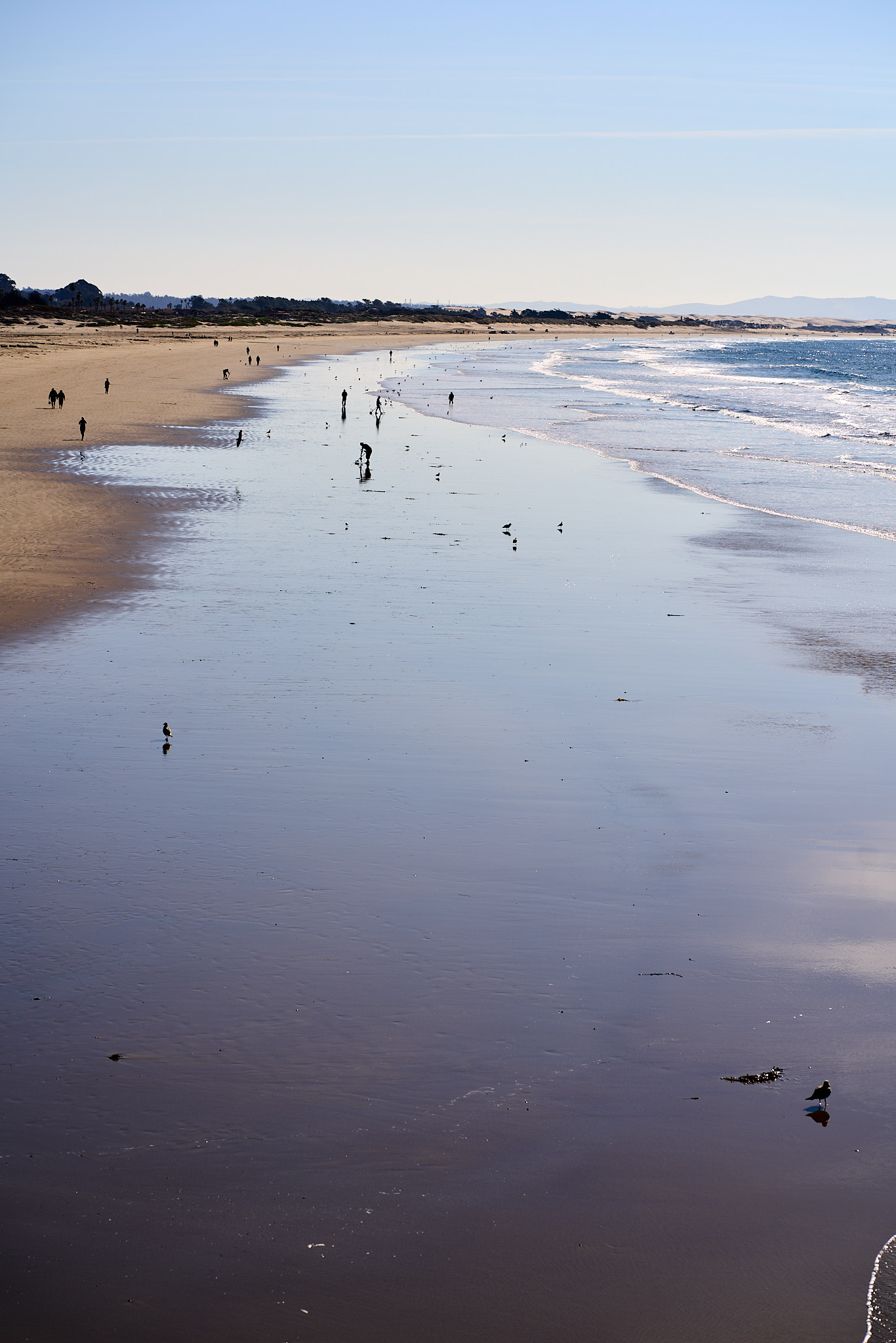Pismo Beach - SONY - SONY ILCE-7RM3 - FE 85mm F1.8