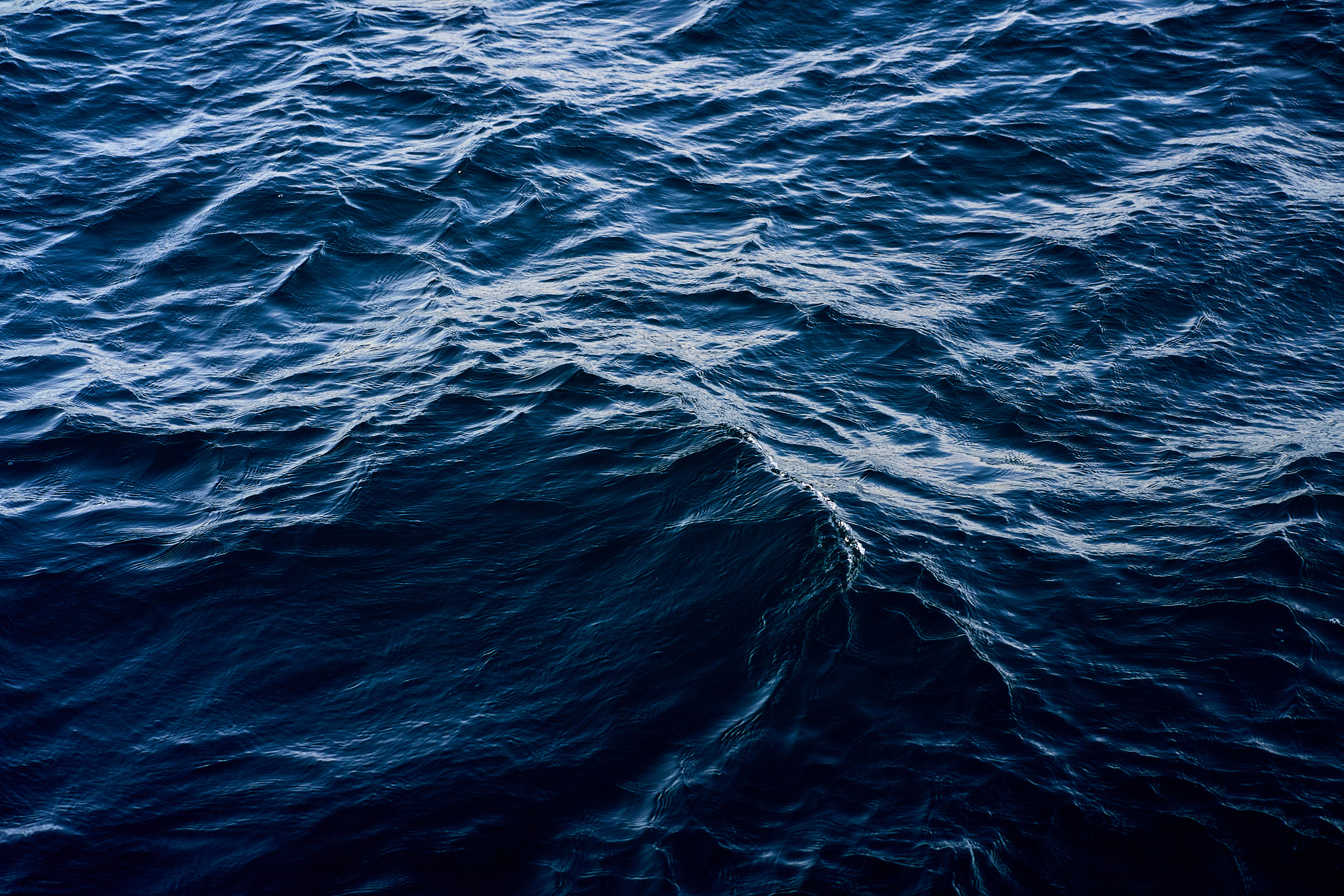 SONY - SONY ILCE-7RM3 - FE 85mm F1.8