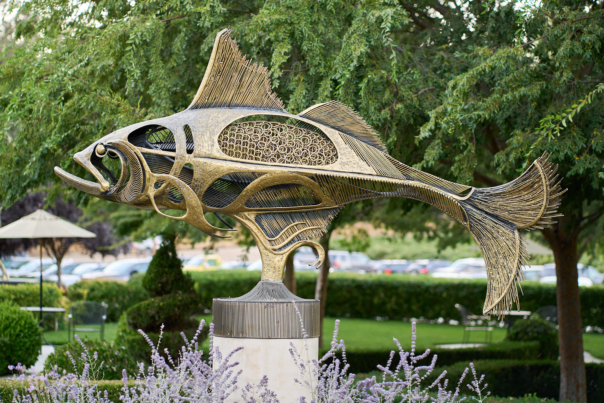 Sculpterra - SONY - SONY ILCE-7RM3 - FE 85mm F1.8