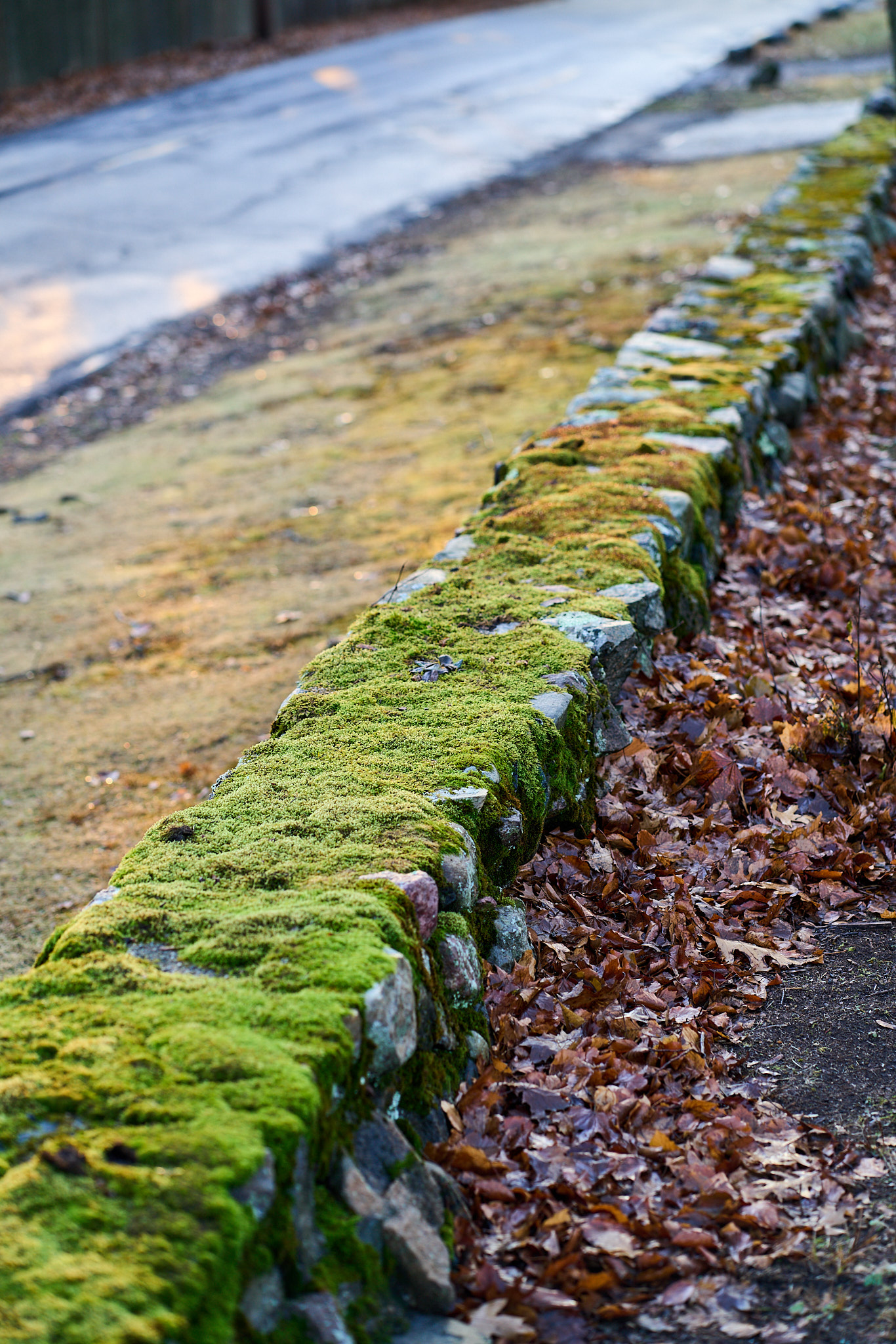 SONY - SONY ILCE-7RM3 - FE 85mm F1.8