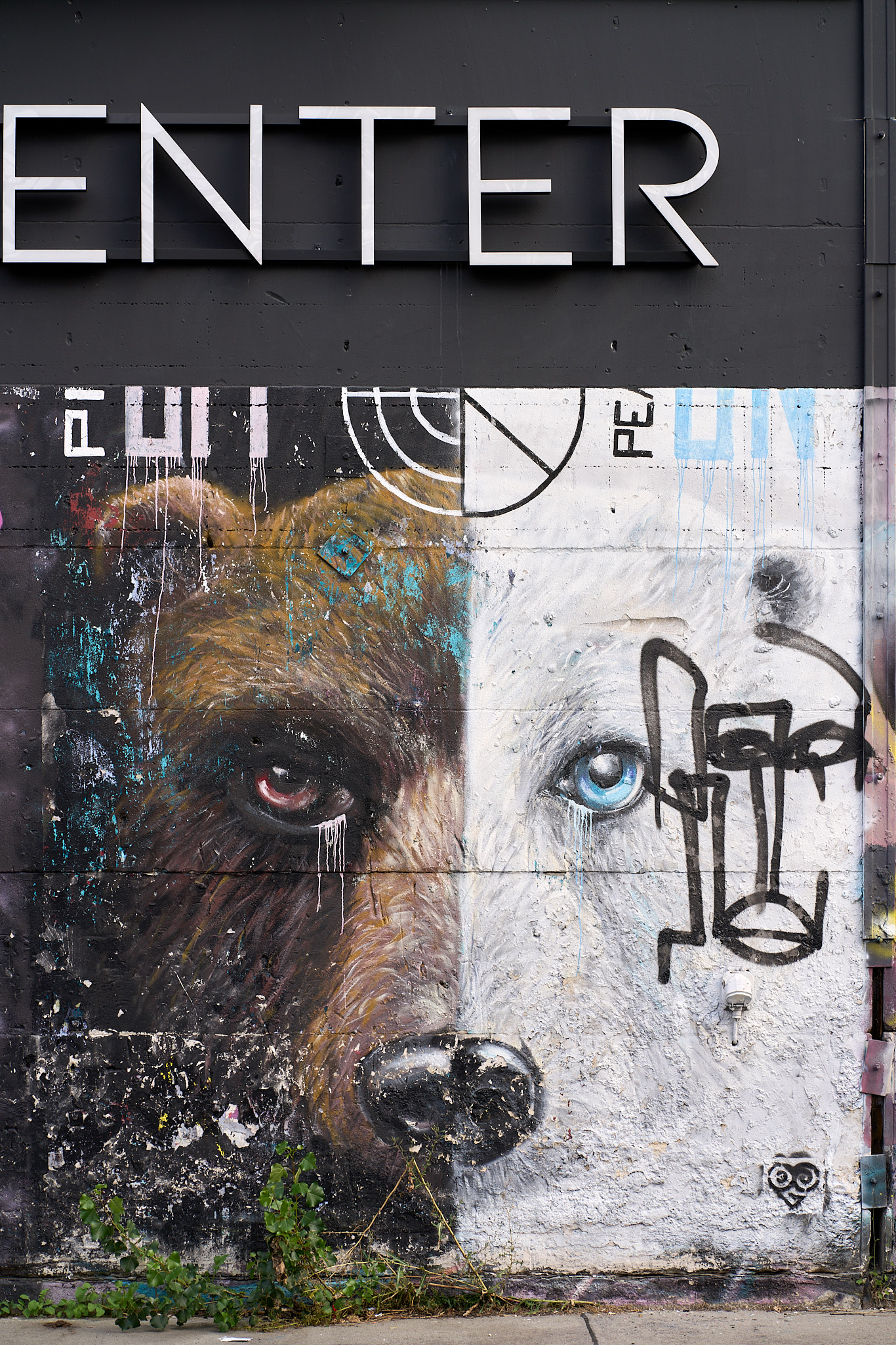 RAW-Gelände - SONY - SONY ILCE-7RM3 - FE 85mm F1.8