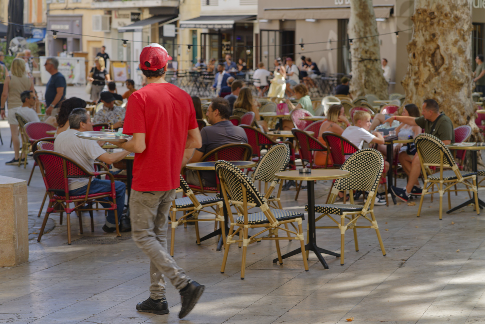 SONY - SONY ILCE-7RM3 - FE 85mm F1.8