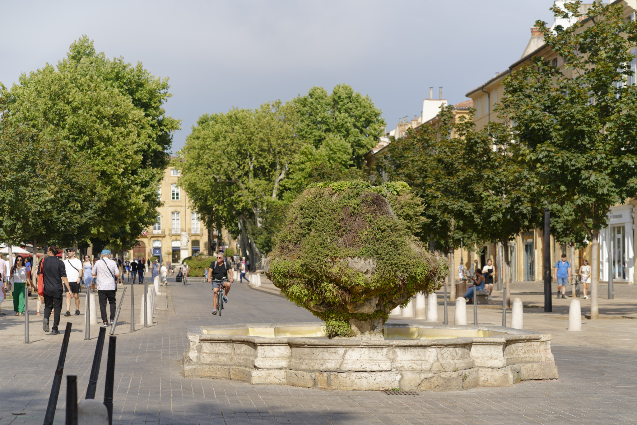 SONY - SONY ILCE-7RM3 - FE 85mm F1.8