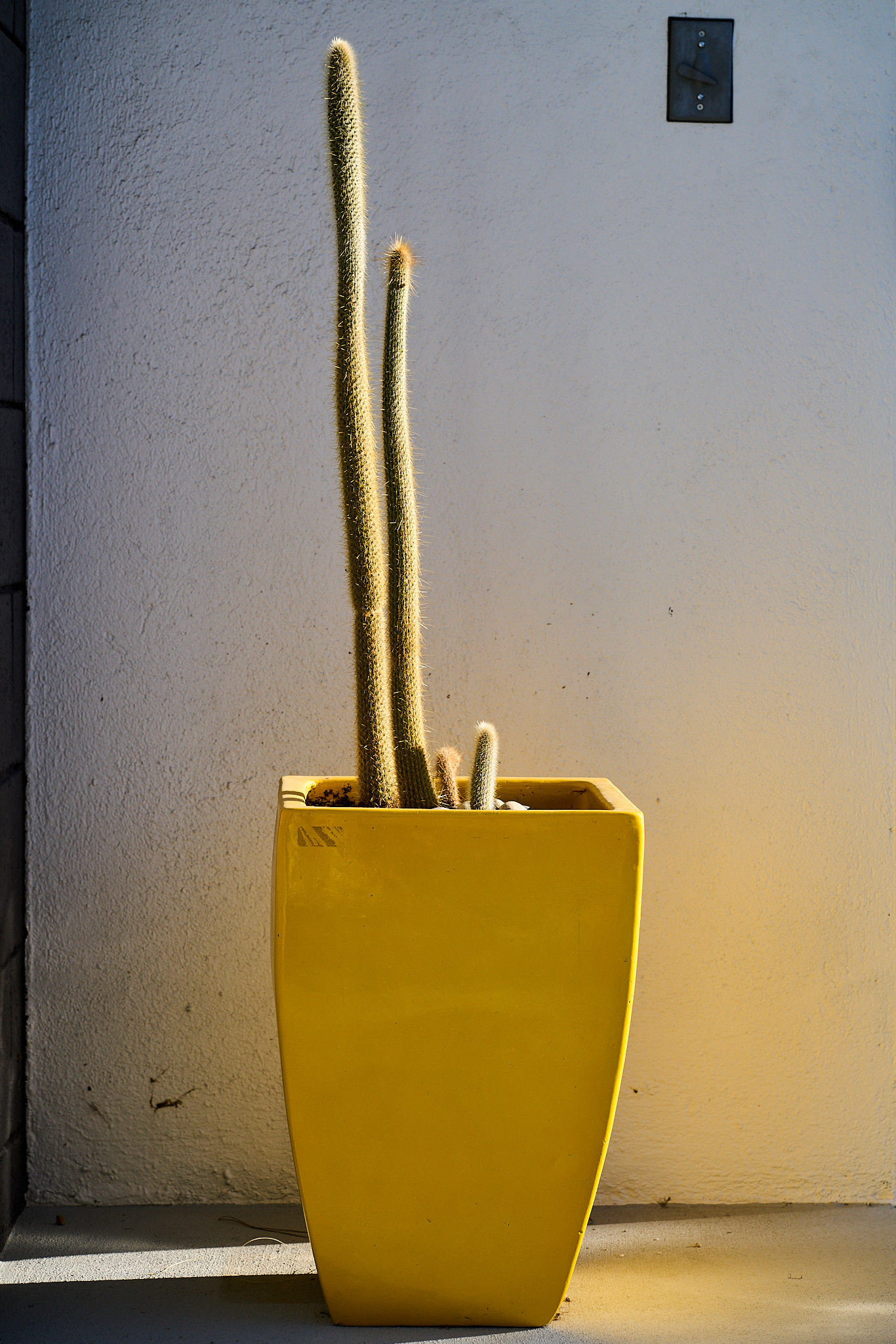 SONY - SONY ILCE-7RM3 - FE 85mm F1.8