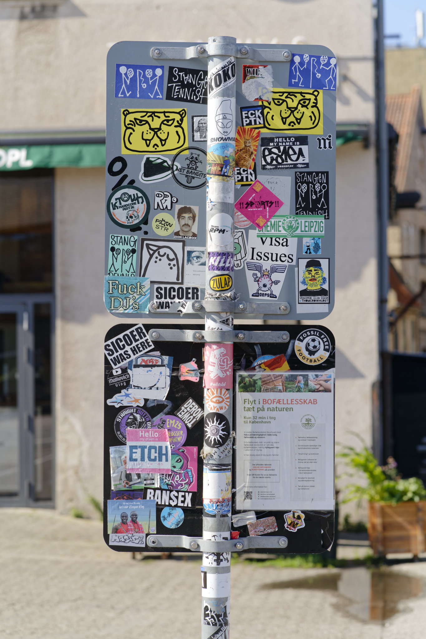 SONY - ILCE-7RM3 - FE 85mm F1.8
